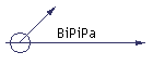 BiPiPa