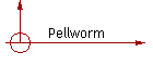 Pellworm